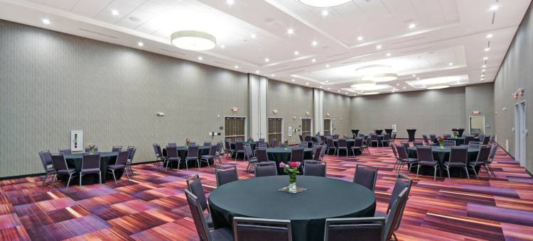 希尔顿惠庭酒店-达拉斯迪索托(Home2 Suites by Hilton Dallas DeSoto)图片