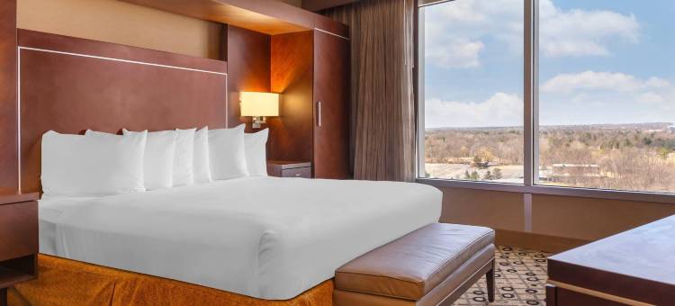 南菲尔德底特律瑞迪森酒店(Radisson Hotel Southfield-Detroit)图片