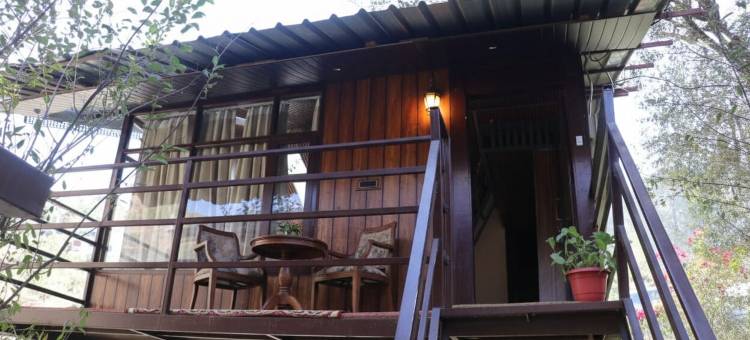 SnugBug 卡索尔(SnugBug Kasol)图片