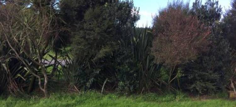 Te Arai Beach Casa di Lana - Renovated Woolshed图片