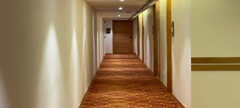 帕斯里查酒店(Hotel Pasricha)图片