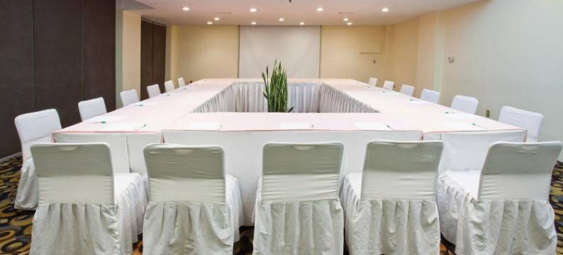 帕丘卡使命酒店(Mision Pachuca)图片