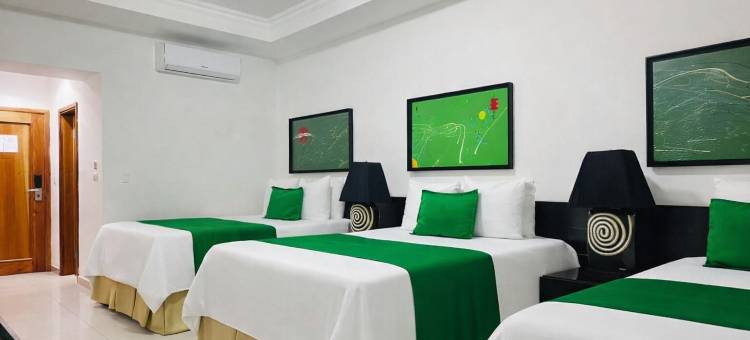 格拉里亚斯 Hn 酒店(Hotel Galerias HN)图片