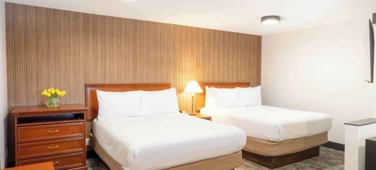 兰里市Travelodge by Wyndham酒店(Travelodge by Wyndham Langley)图片