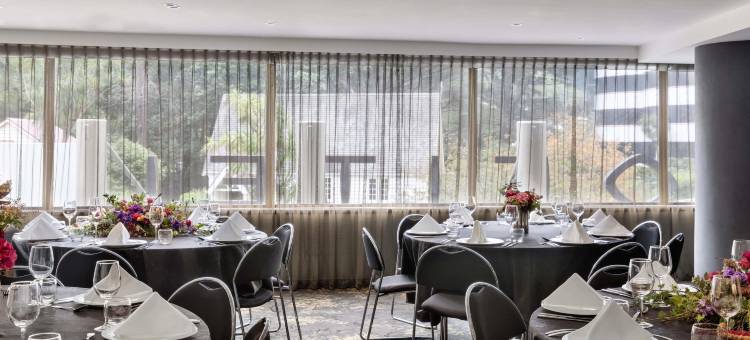 惠灵顿索菲特酒店(Sofitel Wellington)图片