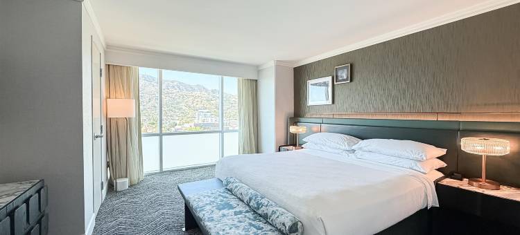 洛杉矶格伦代尔希尔顿安泊酒店(Embassy Suites by Hilton Los Angeles Glendale)图片