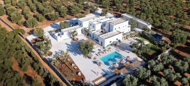 马斯仙达瓜达卢佩(Masseria Guadalupe, the Mascienda)图片