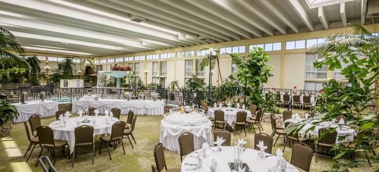 弗雷斯诺机场温德姆花园酒店(Wyndham Garden Fresno Yosemite Airport)图片