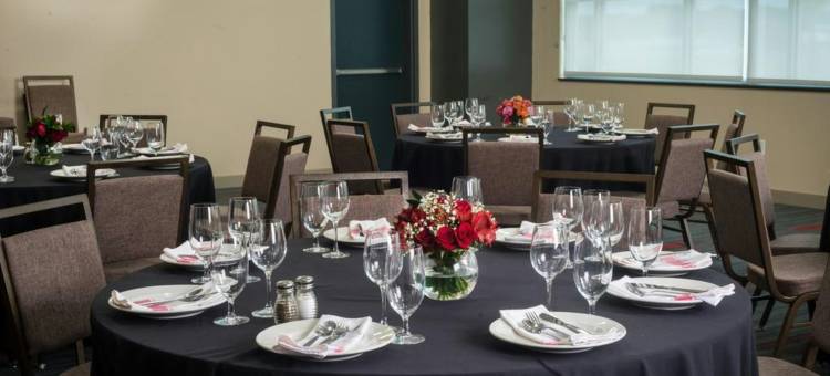 休斯顿洲际机场福朋喜来登酒店(Four Points by Sheraton Houston InterContinental Airport)图片