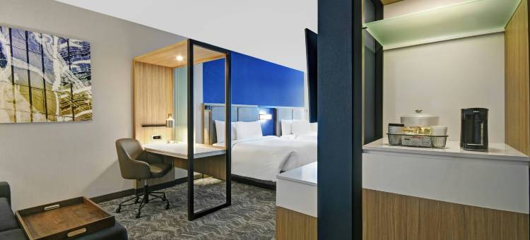 马里奥特圣保罗艾登山SpringHill套房(SpringHill Suites St. Paul Arden Hills)图片
