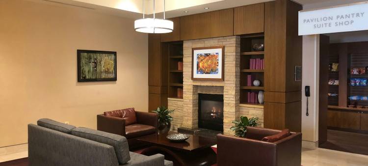 巴尔的摩内港希尔顿花园酒店(Hilton Garden Inn Baltimore Inner Harbor)图片