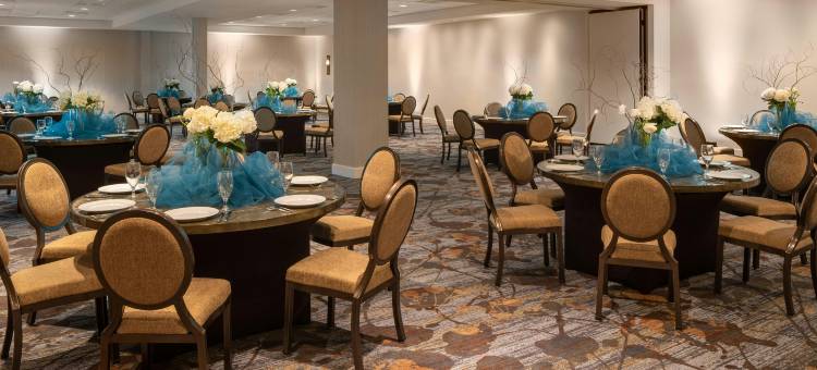 达拉斯喜来登画廊酒店(Sheraton Dallas Hotel by the Galleria)图片