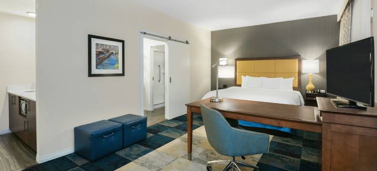 圣安东尼奥布鲁克斯城市基地希尔顿欢朋套房酒店(Hampton Inn & Suites San Antonio Brooks City Base Area)图片