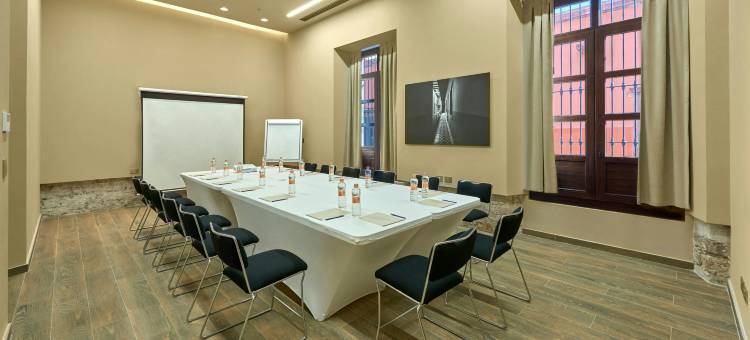 圣路易斯波托西万豪City Centro酒店(City Centro by Marriott San Luis Potosi)图片