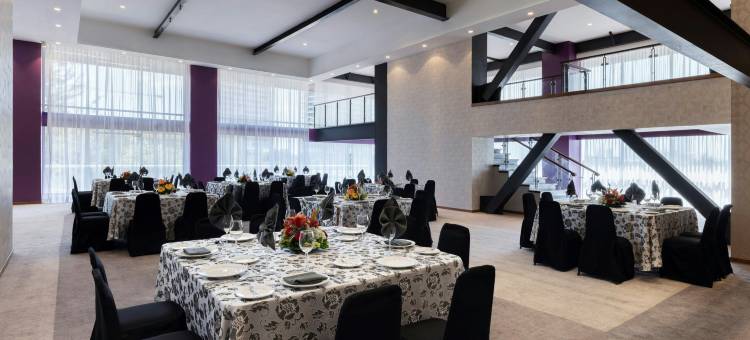瓜达拉哈拉硬石酒店(Hard Rock Hotel Guadalajara)图片