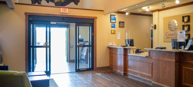 舒适套房酒店(Comfort Inn & Suites)图片