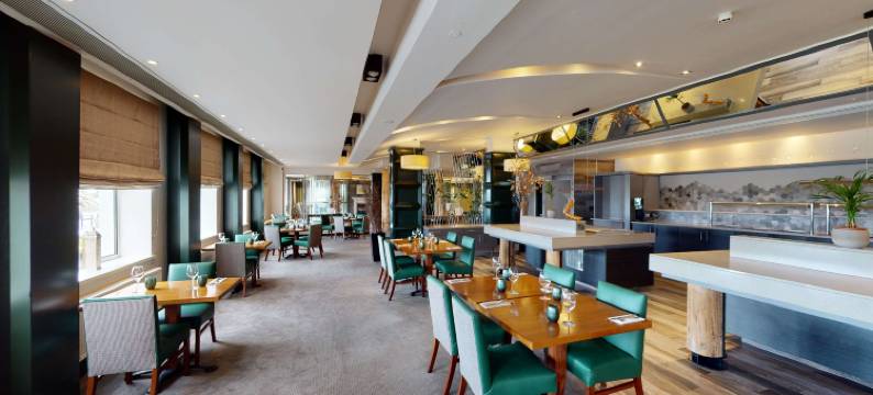 斯莱戈丽笙酒店及水疗中心(Radisson Blu Hotel & Spa, Sligo)图片