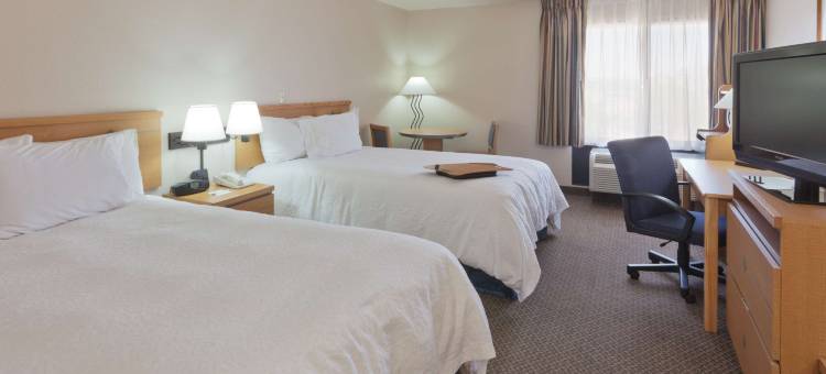 拉斯韦加斯/桑默林欢朋酒店(Hampton Inn Las Vegas/Summerlin)图片