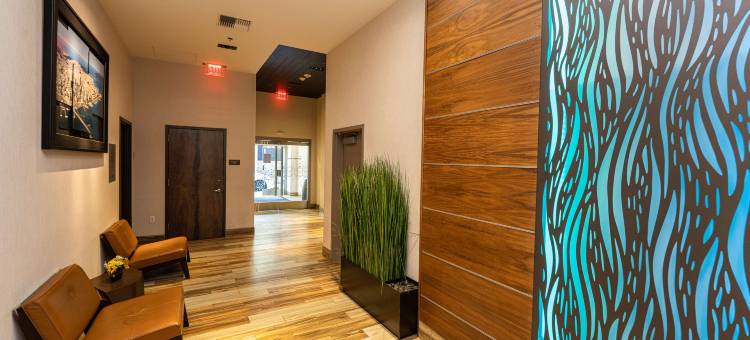 希尔顿欢朋酒店-旧金山市区会议中心(Hampton Inn San Francisco/Downtown-Convention Center)图片