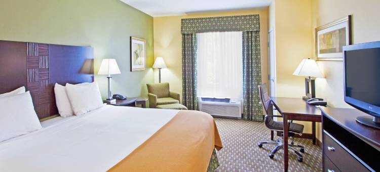 智选假日套房酒店圣奥古斯丁北(Holiday Inn Express & Suites Saint Augustine North)图片