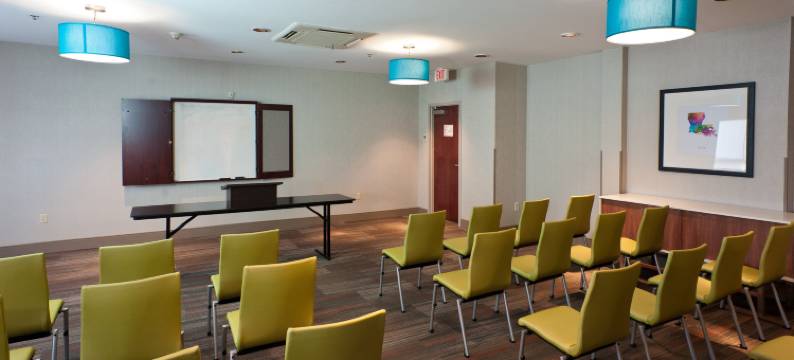 洲际酒店集团智选假日酒店及套房斯科特 - 拉斐特西(Holiday Inn Express & Suites SCOTT-LAFAYETTE WEST by IHG)图片