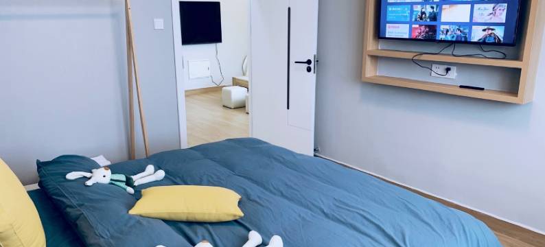 513之家公寓(安国大道1号分店)图片