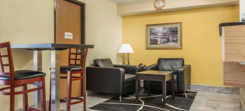 凯艺套房酒店(Quality Inn & Suites)图片