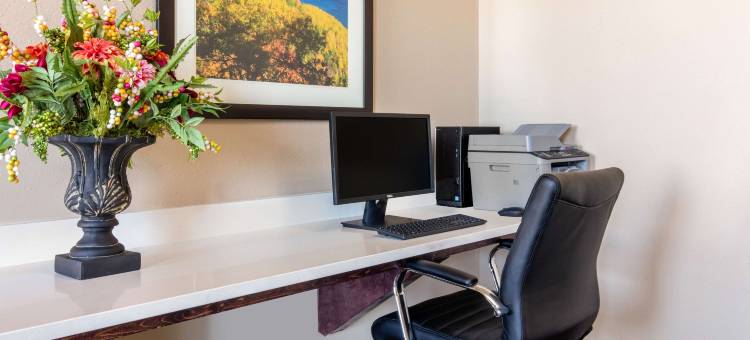 舒适套房酒店(Comfort Inn & Suites)图片