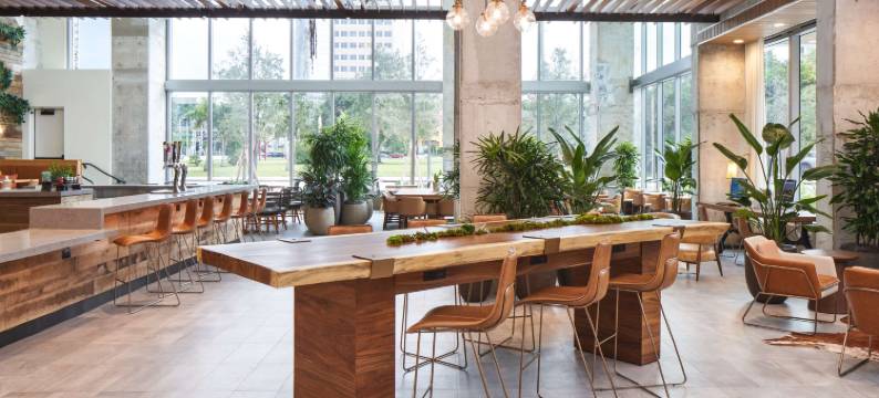 西棕榈滩市区华盖酒店(Canopy by Hilton West Palm Beach - Downtown)图片