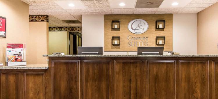 埃芬汉舒适套房酒店(Comfort Suites Effingham)图片