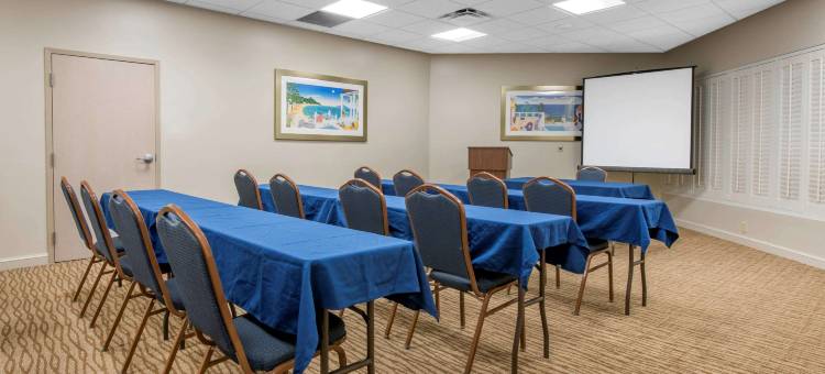 东铭基舒适套房酒店(Comfort Suites Maingate East)图片