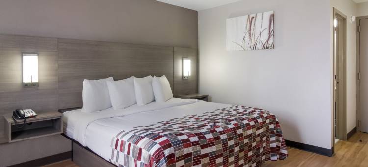 布朗瑞克I-95红屋顶套房旅馆(Red Roof Inn & Suites Brunswick I-95)图片