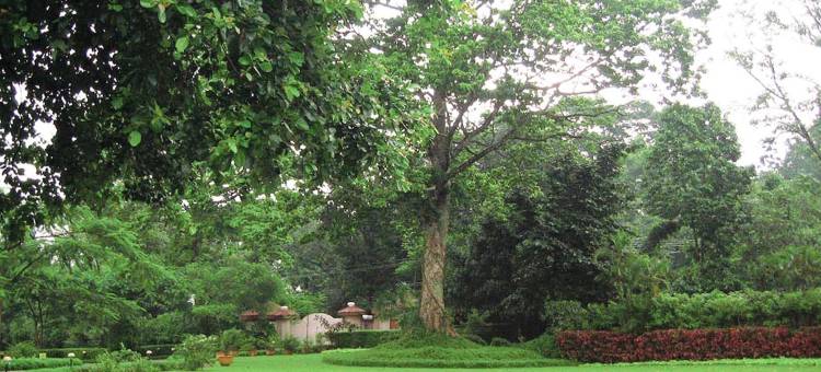 杜阿尔斯辛克莱尔度假酒店(Sinclairs Retreat Dooars, Chalsa)图片