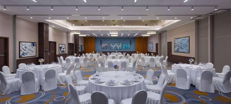 Radisson Hotel & Congress Center Saransk图片