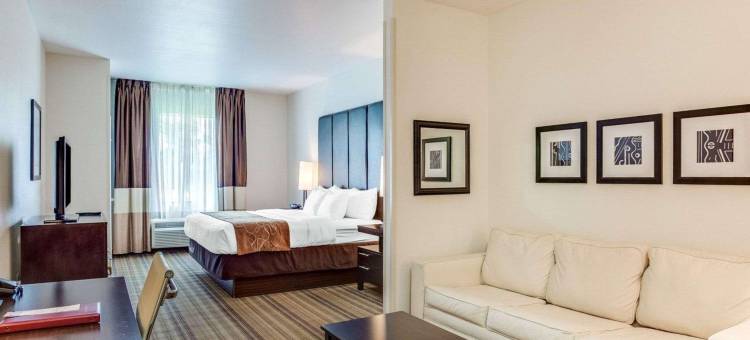 曼德维尔卡温顿舒适套房酒店(Comfort Suites Mandeville - Covington)图片