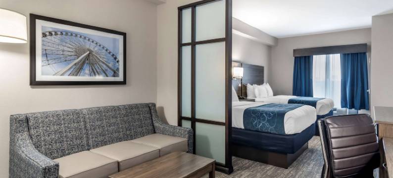 亚特兰大南部麦克多诺舒适套房酒店(Comfort Suites McDonough Atlanta South)图片