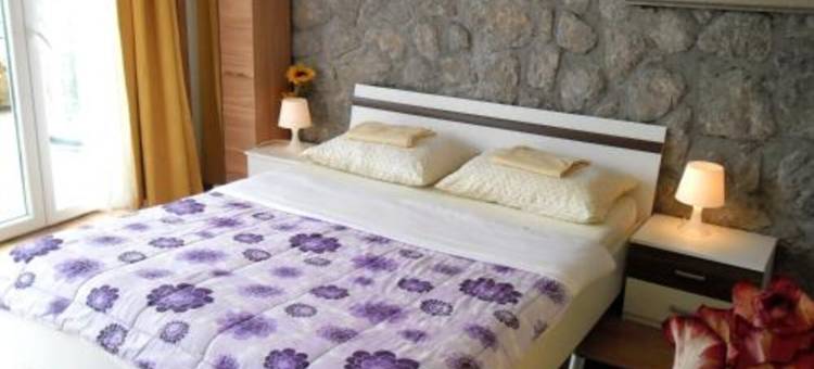 克斯特诺维沃利公寓(Apartments Kestenovi Dvori)图片