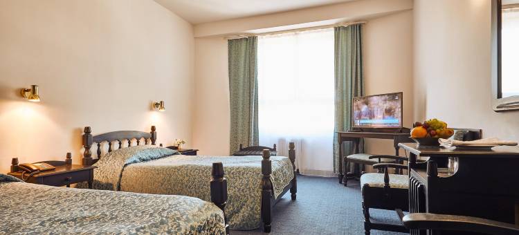 特尔古穆烈什大陆酒店(Continental Forum Tirgu Mures)图片