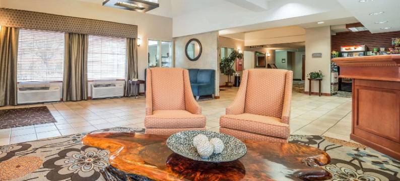 机场舒适套房酒店(Comfort Suites Airport)图片