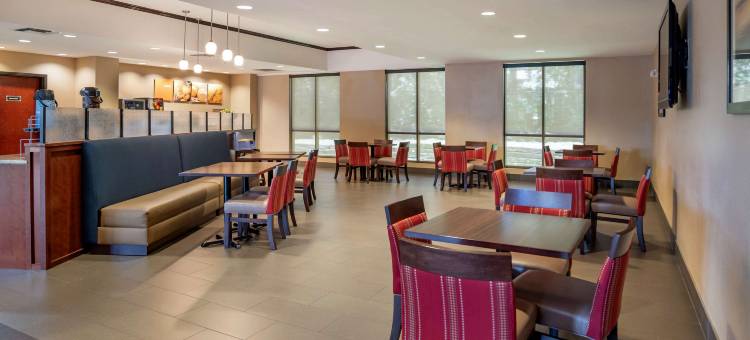 莫比尔舒适全套房酒店(Comfort Suites Mobile West/Tillmans Corner)图片