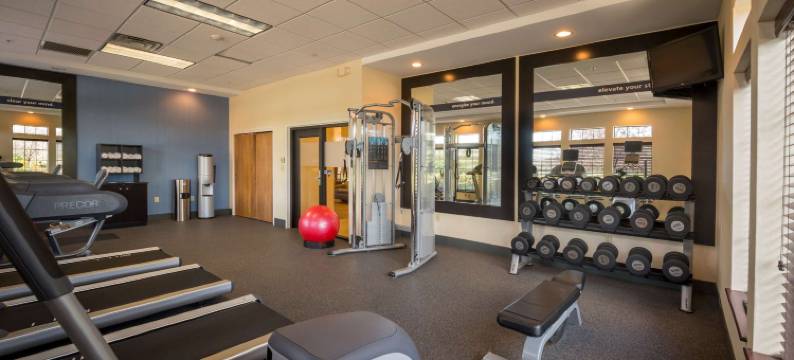 宾厄姆顿维斯塔欢朋套房酒店(Hampton Inn & Suites Binghamton/Vestal)图片