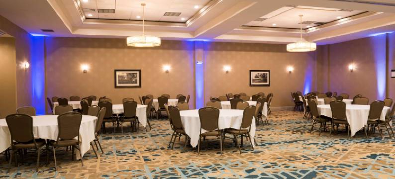 舒适草原科诺沙希尔顿逸林酒店(DoubleTree by Hilton Pleasant Prairie Kenosha)图片