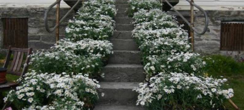 欧沃沃尔农场民宿(Overvoll Farm)图片