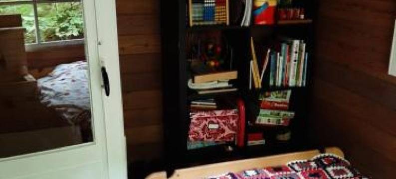 De Boshut Vledder图片