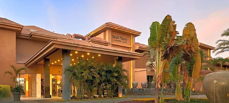 开罗都喜天丽湖景酒店(Dusit Thani LakeView Cairo)图片