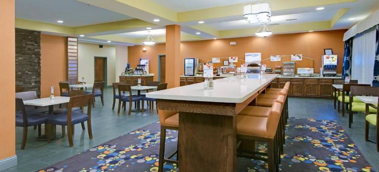 莫纳汉斯I-20智选假日套房酒店(Holiday Inn Express & Suites Monahans I-20)图片