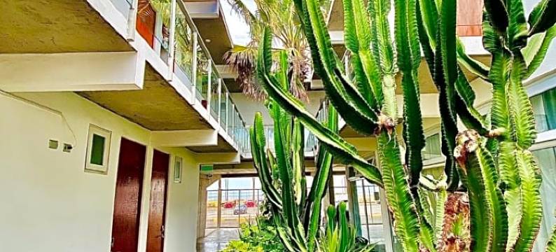 钦查罗港酒店(Hotel Puerto Chinchorro)图片