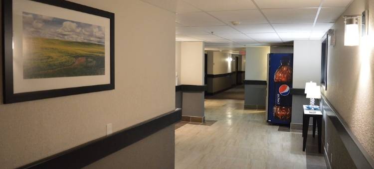 大草原城速8酒店(Super 8 by Wyndham Grande Prairie)图片