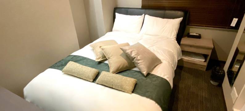 秋叶原普瑞泽酒店(Hotel Prezier Akihabara - Vacation Stay 21812V)图片