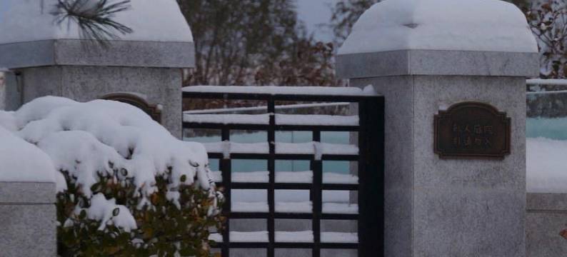 秦皇岛小树的海边公寓图片